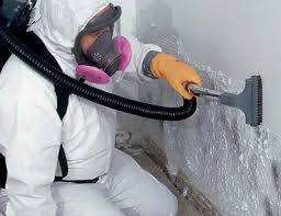 Best HVAC Mold Inspection and Cleaning  in Ashland City, TN